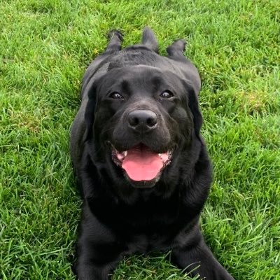 All4N44's profile picture. 