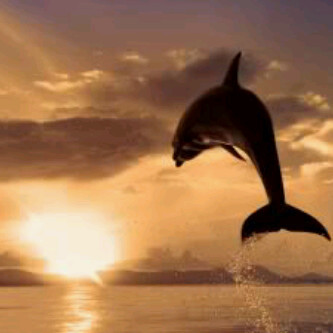 edduinr's profile picture. 