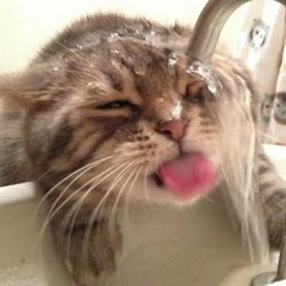 marmita32599573's profile picture. :)