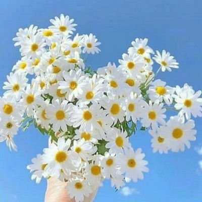 FilizAdaCanAda1's profile picture. Zarif hümanist saygi ve adrenalin.