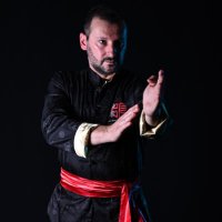 CTD Wing Chun Academy - Master Luca Campiglio(@CmSifu) 's Twitter Profile Photo