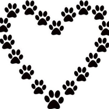 LenDonovan's profile picture. 