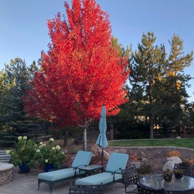 TheOrbWhisperer's profile picture. My oath is to God, my Father in Heaven. 🙏✨Lifelong American Patriot. Will do what it takes to keep America free. 🇺🇸🇺🇸🇺🇸