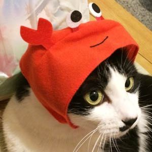 凍らずの蟹 猫 剣盾ではニドクインの夢特性が出ないので 過去作から連れてくるか 夢ニドキングに夢ニドラン を産ませないと手に入らないのでややメンドクサイですw 凍らずの蟹 猫 剣盾ではニドクインの夢特性が出ないので 過去作から連れてくるか 夢ニドキングに夢ニドラン を産ませないと手に入らないのでややメンドクサイですw