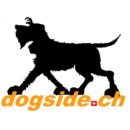 Ich helfe allen #Hundefreunden #LeinenundHalsbänder & #HundeAccessoires zu finden. Ich bin Claudia, Hundetrainerin & Züchterin
