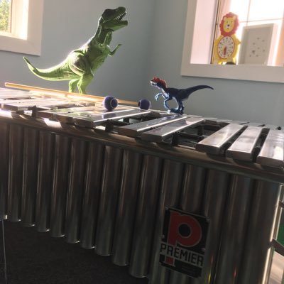 Iain_S_Perc's profile picture. Scottish Percussionist