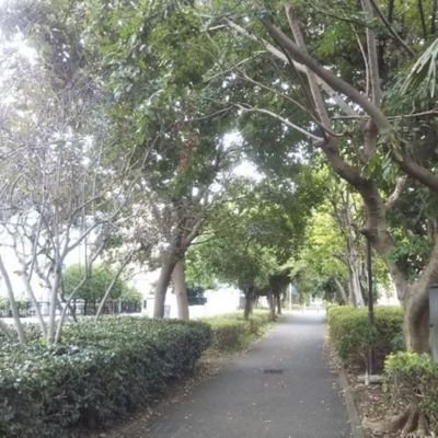 QuizKnockが好きなメンタル絹豆腐社会人。
取得済み→ITパスポート、司書
これから勉強したい→漢検準1級、知識検定