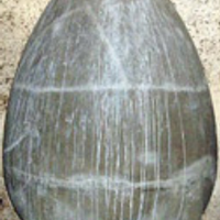 Jonathan Wood (@jonathan_wood) 's Twitter Profile