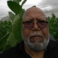 Timothy M I (@timothymi1) 's Twitter Profile