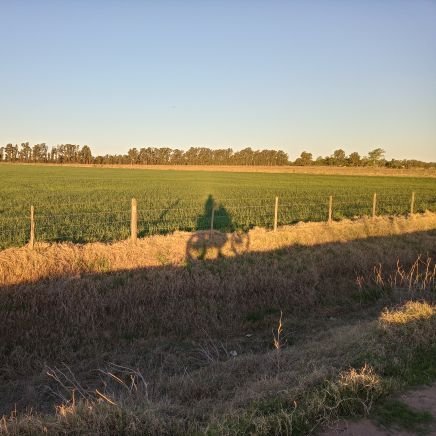 Ingeniero Agrónomo (FAUBA).🌽🌻🌱🌾
Representante Técnico de Ventas en Oeste Bs As y La Pampa.
En constante aprendizaje.