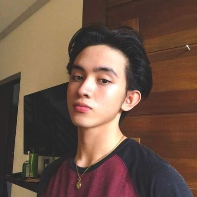 justin_santi's profile picture. New account  || 
Future cpa lawyer

https://t.co/PVRuuzrXPD