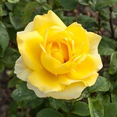 veeran08's profile picture. 