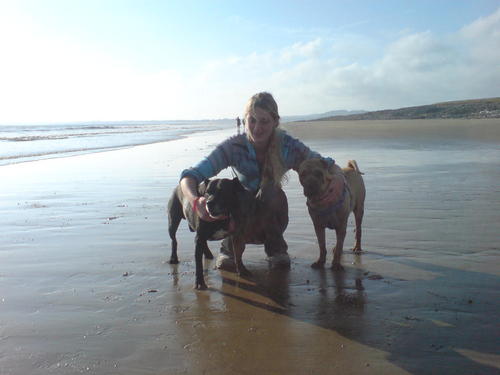 CazzVegan's profile picture. Vegan, gotta love my dogs. Love the sea, mountains, forests. Hate the industrialised world, smog, factories and the uneven distribution of wealth.