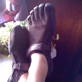 timonkeytoes's profile picture. 