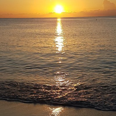 TweetRaker's profile picture. Tweets frequently raked - Truth appears here flittingly, like footprints on a beach - Hypocrisy should be punishable with death - Keep your blue-light filter on