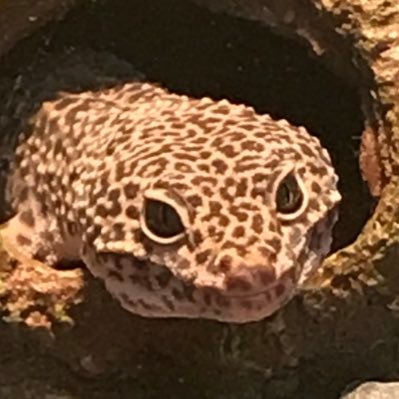 MikeMc9797453's profile picture. 