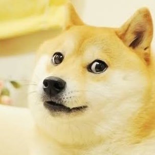 投資家ドジ君 Dogekun Twitter