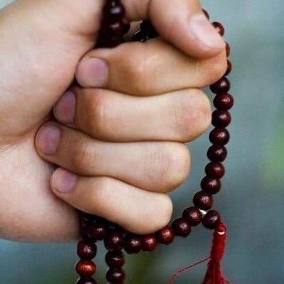 Mukhtar08872791's profile picture. 