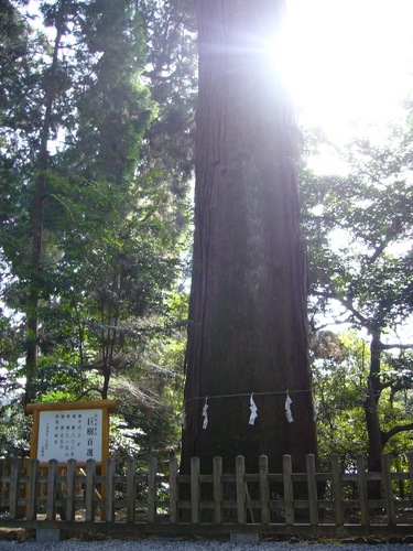 daisuke698's profile picture. 東京多摩地区に住む、サラリーマンのつぶやき。