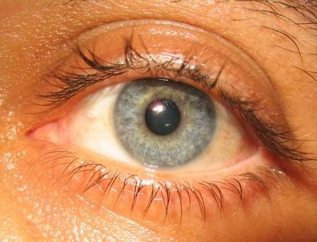 rafaelgreyck's profile picture. 