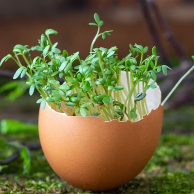 LadyITEngineer's profile picture. از ایران تا آزادی راهی نمانده...