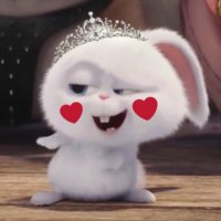 ๊ชเญงใ๐๐ (@rabbit_pjk) 's Twitter Profile