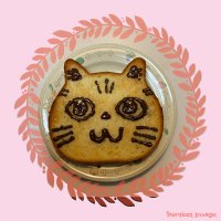 みっく@人間の看護師から猫の美容師になった猫オタク (@tmick6) 's Twitter Profile