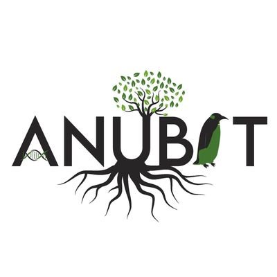 anubitt's profile picture. 