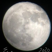 Enmar Almazyad (@enmar91) 's Twitter Profile