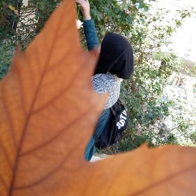 Writer 🌹
Algerian 🇩🇿
Computability student 🗂️
Kath'old my current project 🕰️