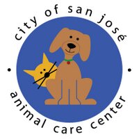 San José Animal Care (@sanjoseanimals) 's Twitter Profile