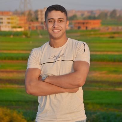 Mahmoud Fakhreldin