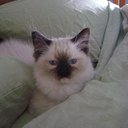 Jodi Rubenstein - @jrubes15 - Twitter