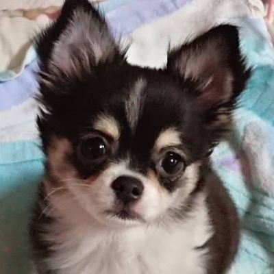 d7P7yks6ZHc6741's profile picture. はじめまして
妻と子供1人
もう結婚生活11年目です✨

体調不良で今年7月に会社を退職しました🙂
趣味やおこずかい稼ぎを探してます🌟

いろいろな方とSNSを通じて知り合いになれたら
嬉しいです。よろしくお願いします✨