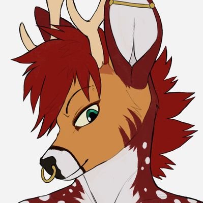 Senuskoさんのプロフィール画像
