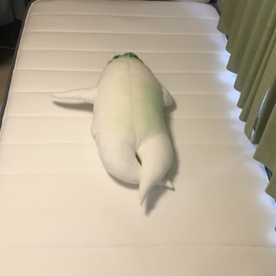 RINONsan_kawaii's profile picture. さくら学院 5代目生徒会長 磯野莉音さんを応援し続けるアカウントです。