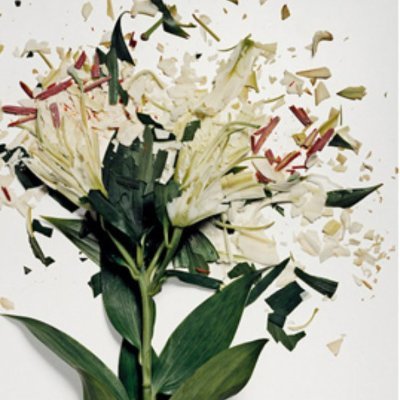 Catalyst789's profile picture. Lost without you!!