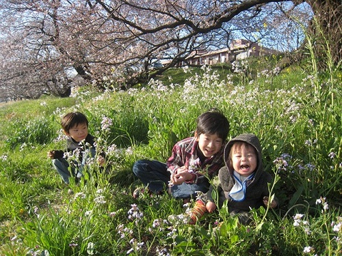社会人2年目大学2年中3男子3人里子1人の母。自主保育で３人育てました！出版社勤務。社会的養護を必要とする児童に関する書籍、自主保育・プレーパーク関連書籍の出版が好き。
あきらめかけてたけど、やっぱりファミリーホームをやりたいな。
企画した「もしかして　となりの親子は里親子⁉」が好評発売中！