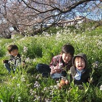 makiko (@tugihinata) 's Twitter Profile Photo