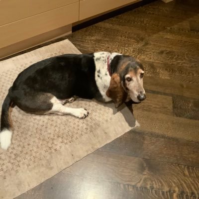 robbmerritt's profile picture. it will all work out in the end - along the way grab a beer, maybe a hot dog...(2020) make that a beer and some tequila.