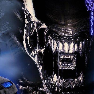 viinii18's profile picture. 
