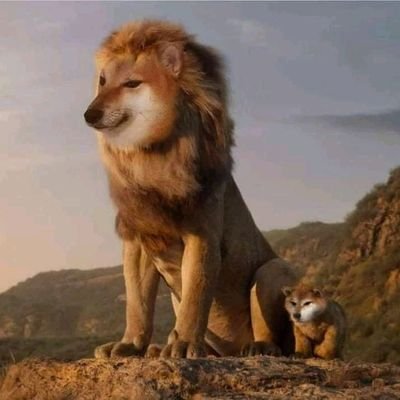 qp_armando's profile picture. 