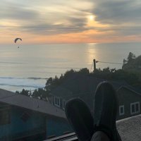 Peter Jessel (@peterjesselep) 's Twitter Profile