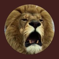 🙌🏼 ✝️ G𝕣𝐀ᶜe 𝓞ℕ f𝕚𝐫ⓔ 🔥👆🏼 (@dakotagrace8) 's Twitter Profile Photo 🙌🏼 ✝️ G𝕣𝐀ᶜe 𝓞ℕ f𝕚𝐫ⓔ 🔥👆🏼 (@dakotagrace8) 's Twitter Profile Photo