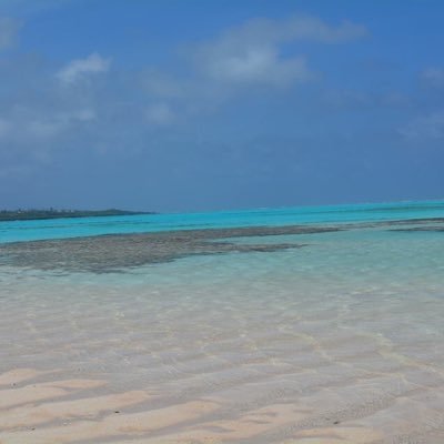 sacritabust's profile picture. 見る、食べる、遊ぶ、学ぶ、巡る、得る