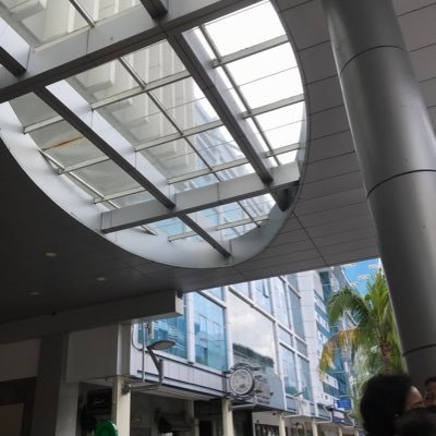 wscodejourney's profile picture. Winna shen’s coding journey. #webdevelopment #desktopdevelopment