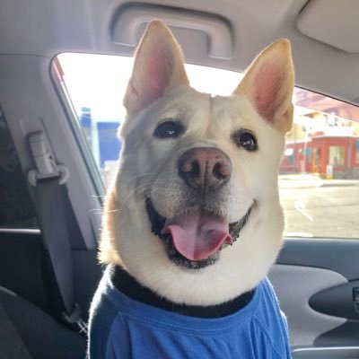 もみじ ハワイ在住転勤族の妻ちゃん On Twitter チェーン店なんだけど美味しかったハンバーガーの話 アメブロを投稿しました テディーズビガーバーガーでお腹いっぱいになろう アメブロ オアフ島 Https T Co Pvqvgsop3h