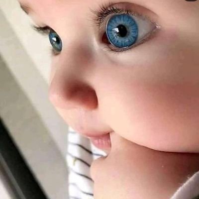 fatima_abudiah's profile picture. bismillah