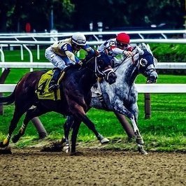 Jra指定席速報 Jrasiteiseki Twitter