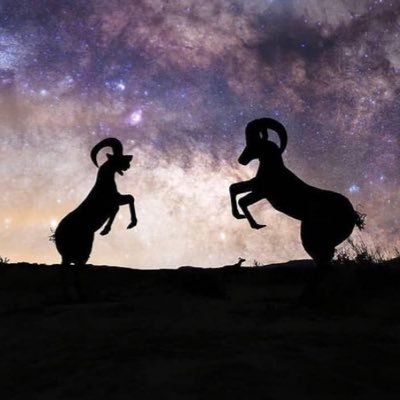 king94947785's profile picture. 